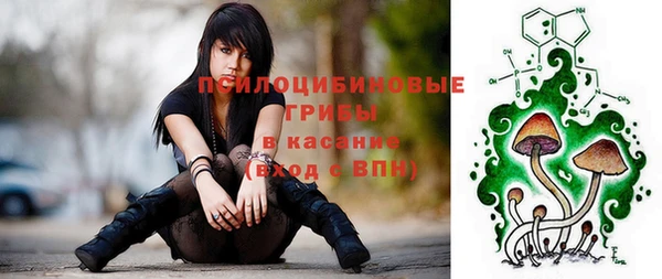 круглые Алзамай