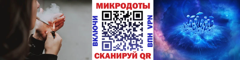 Псилоцибиновые грибы мицелий  наркотики  Архангельск 